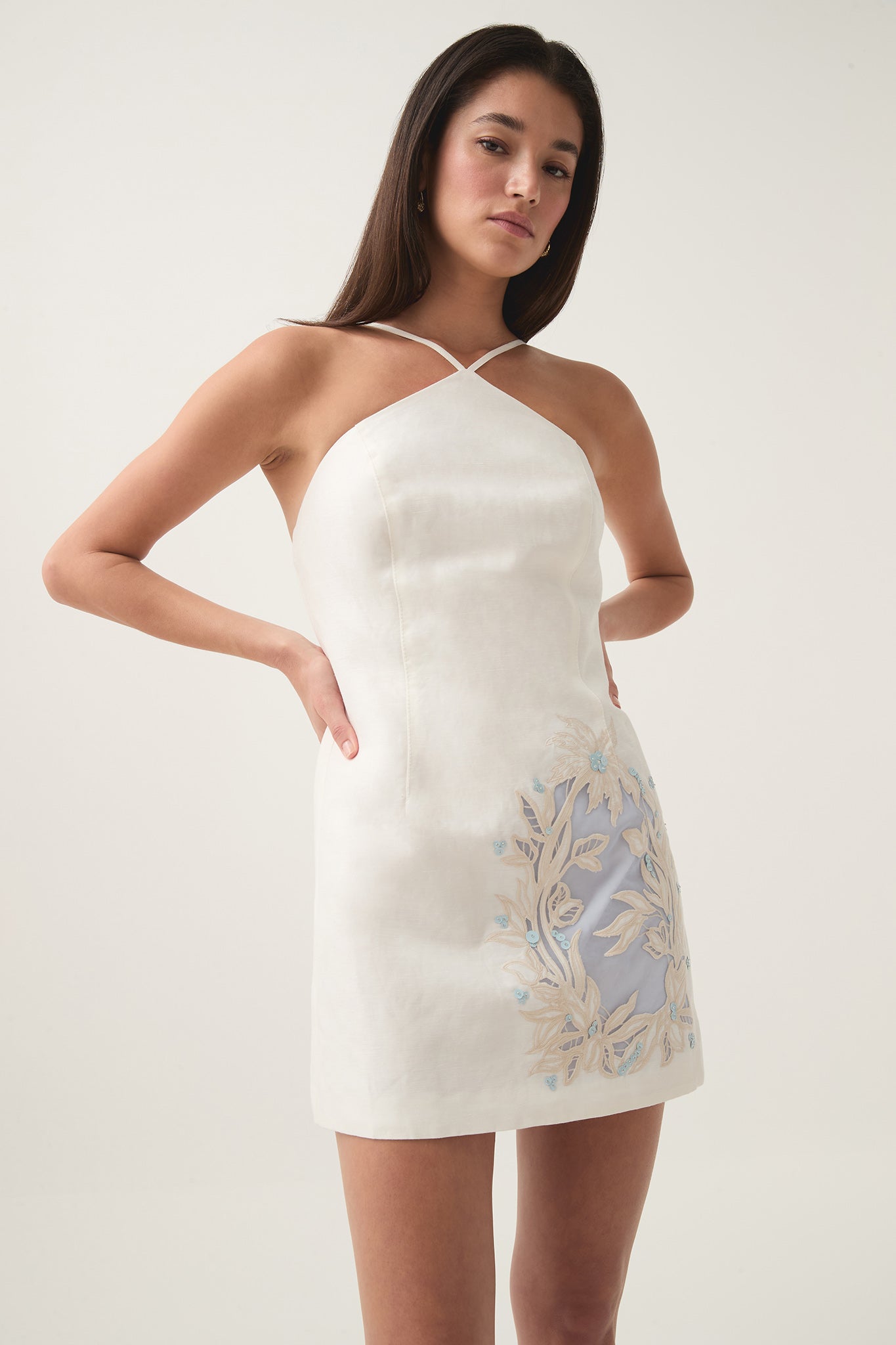 Mirrors Embroidered Mini Dress Mirrors Embroidered Mini Dress
