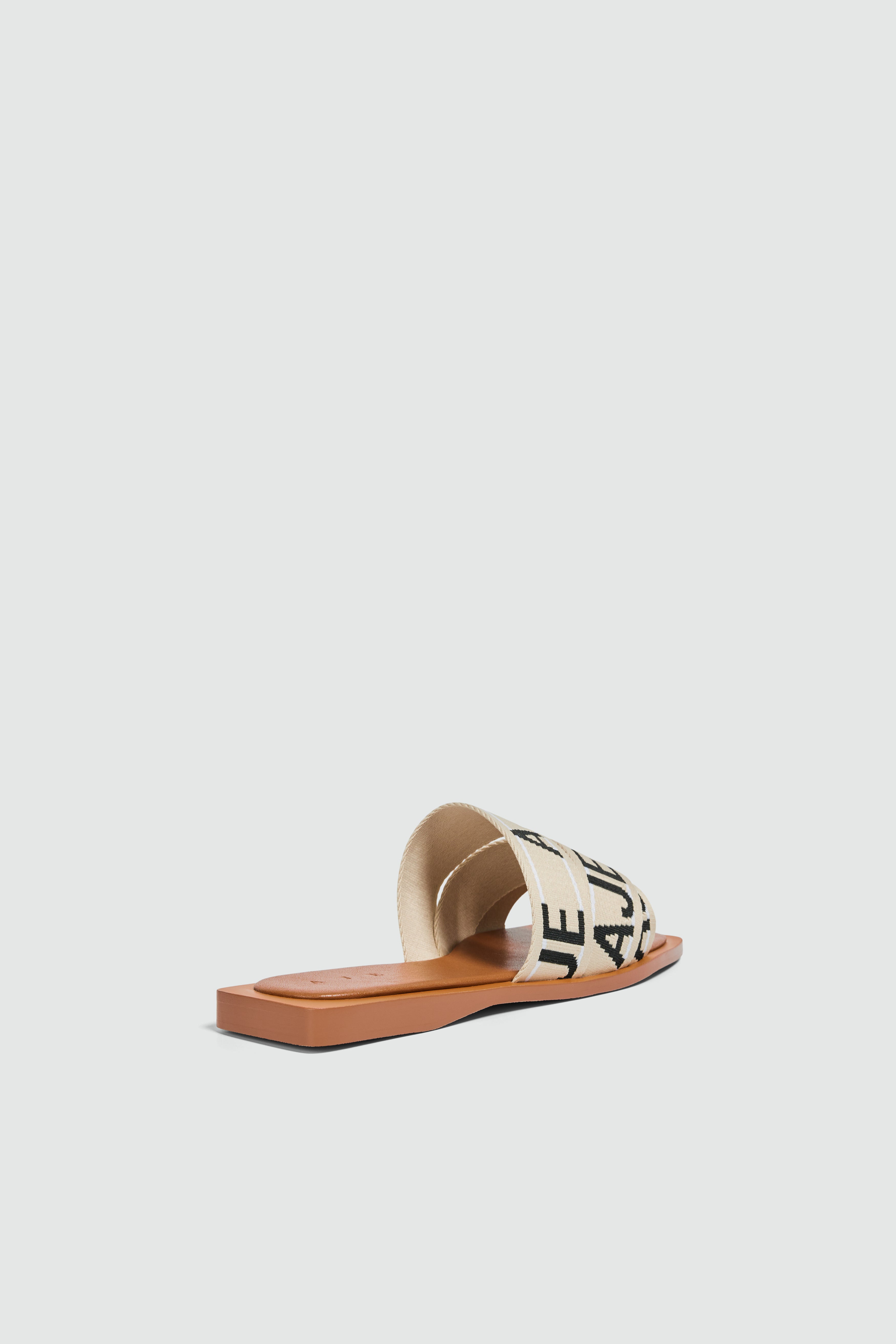 Anais Slide