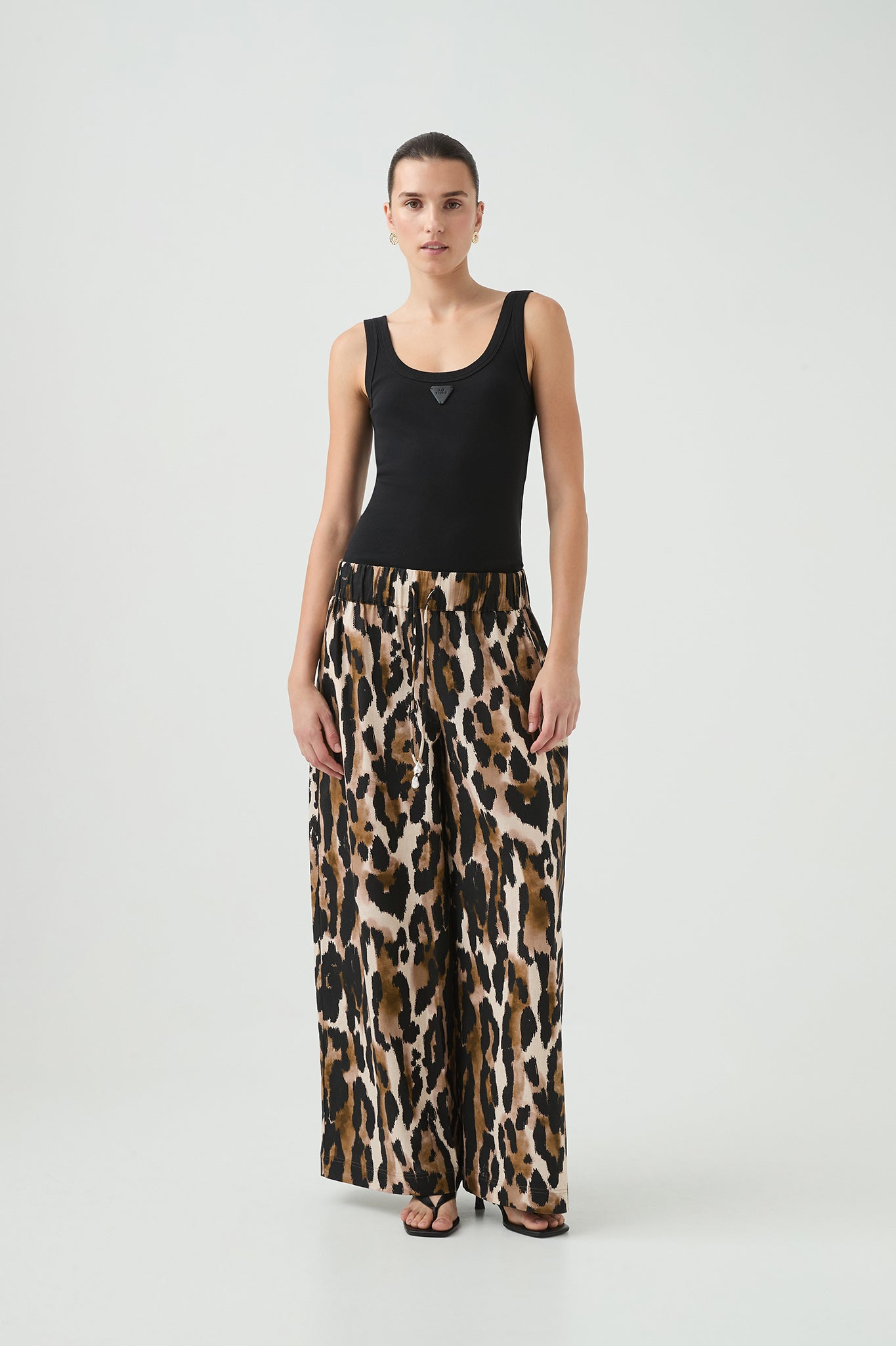 252AS3012_Animal_1_1743556387