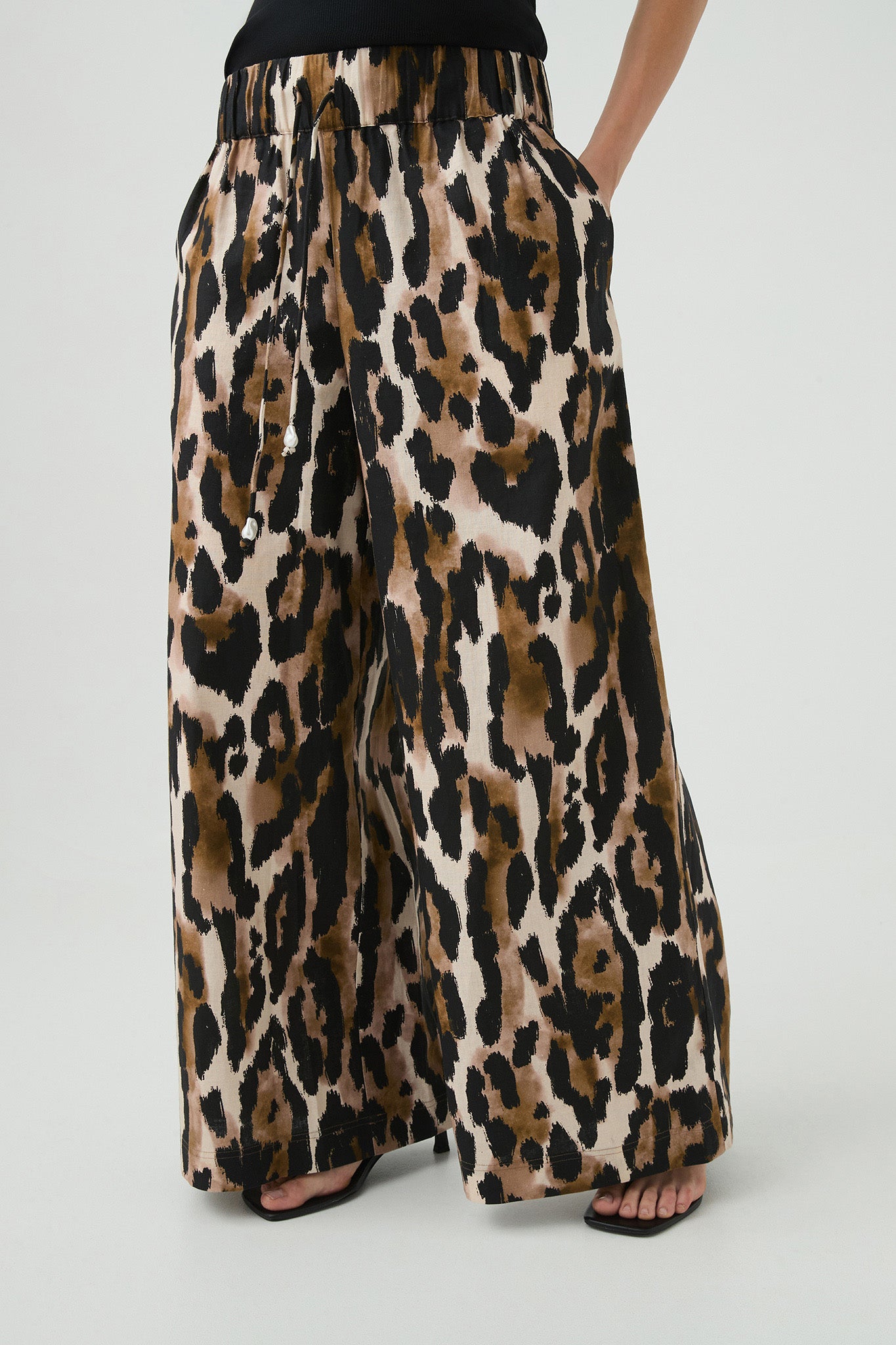 252AS3012_Animal_3_1743556399