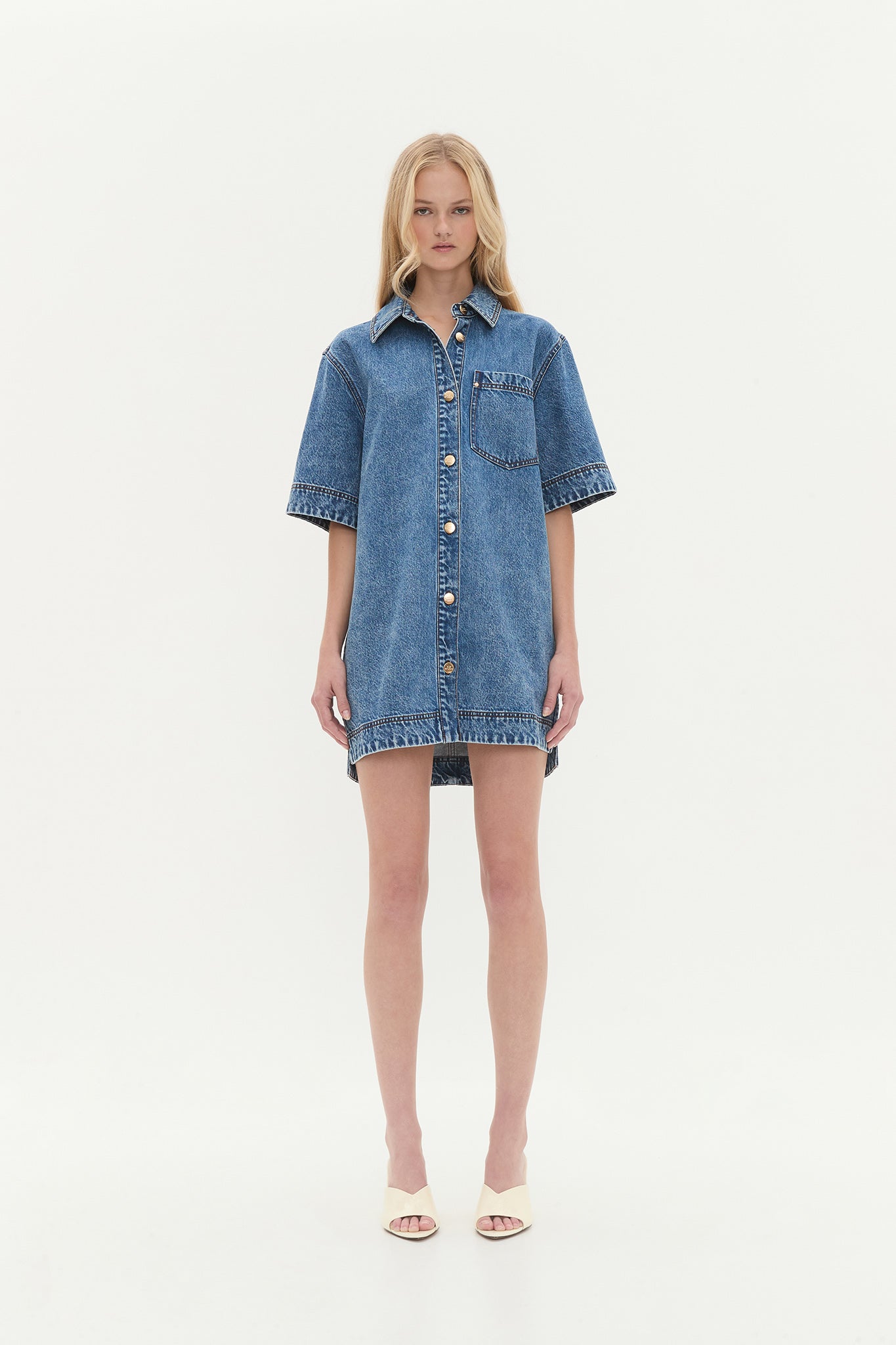 Junee Denim Shirt Dress