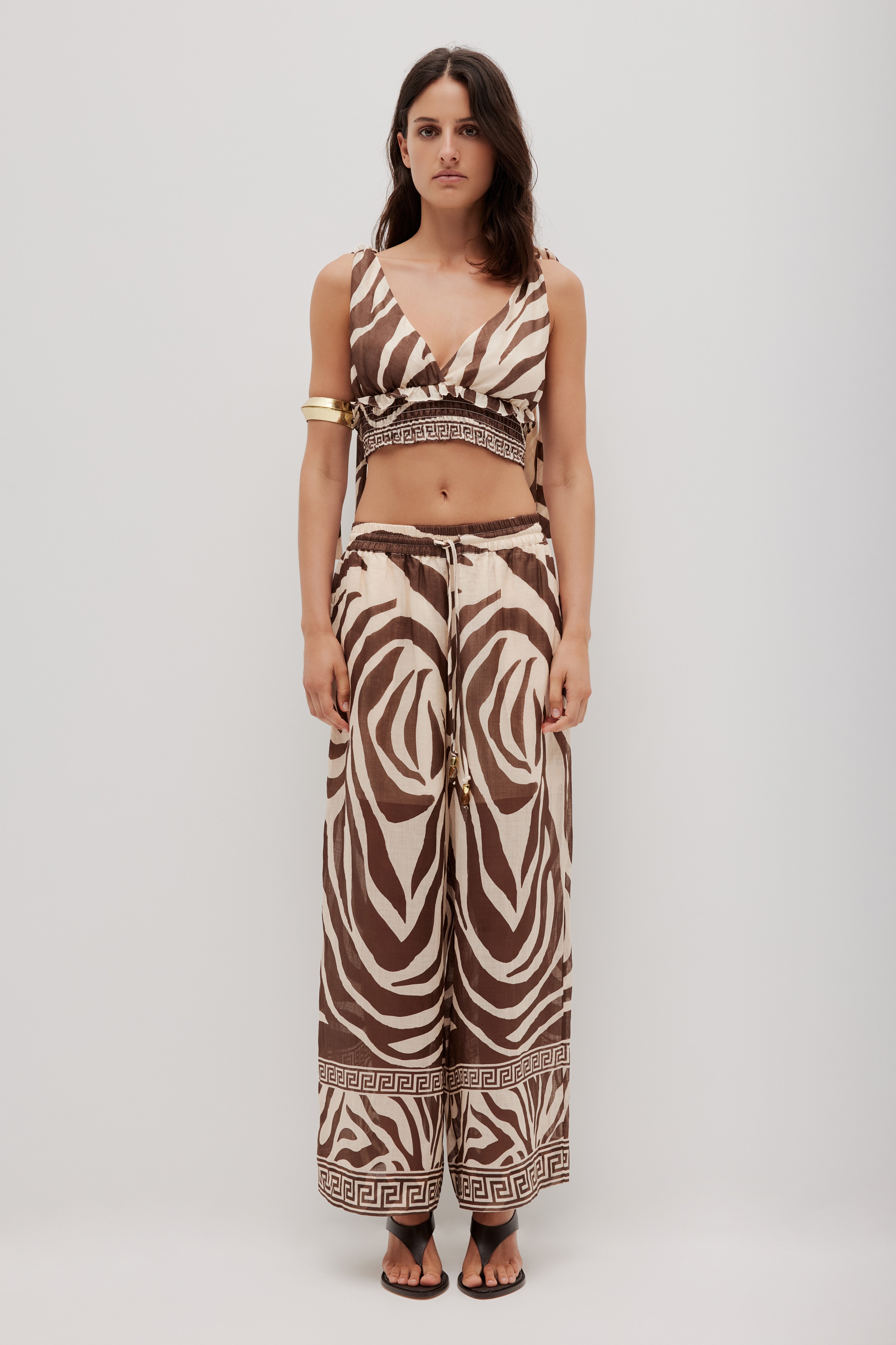 262AS1010_GEO-ZEBRA_1_1761520676