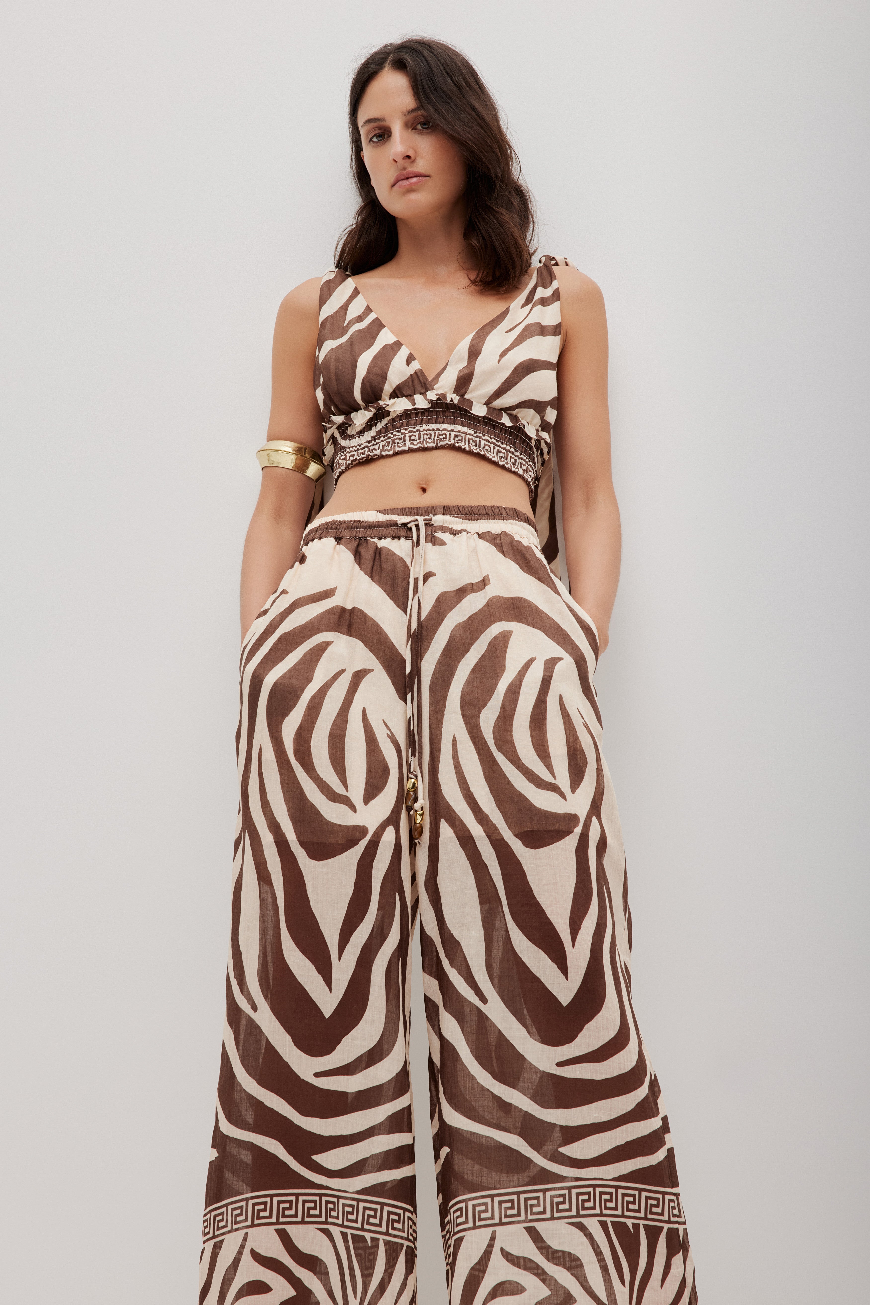 262AS1010_GEO-ZEBRA_4_1761520674