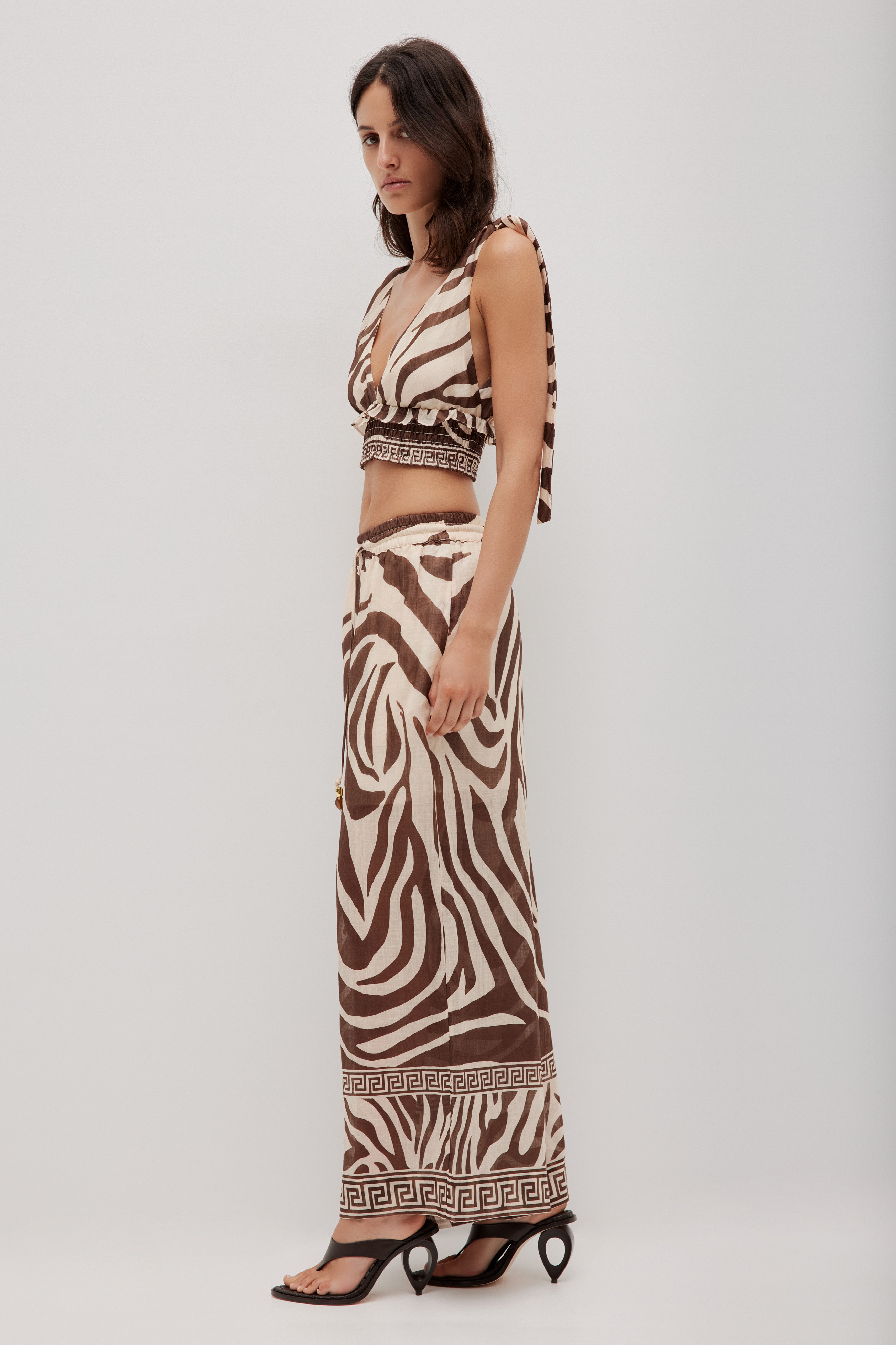 262AS3003_GEO-ZEBRA_4_1761520684