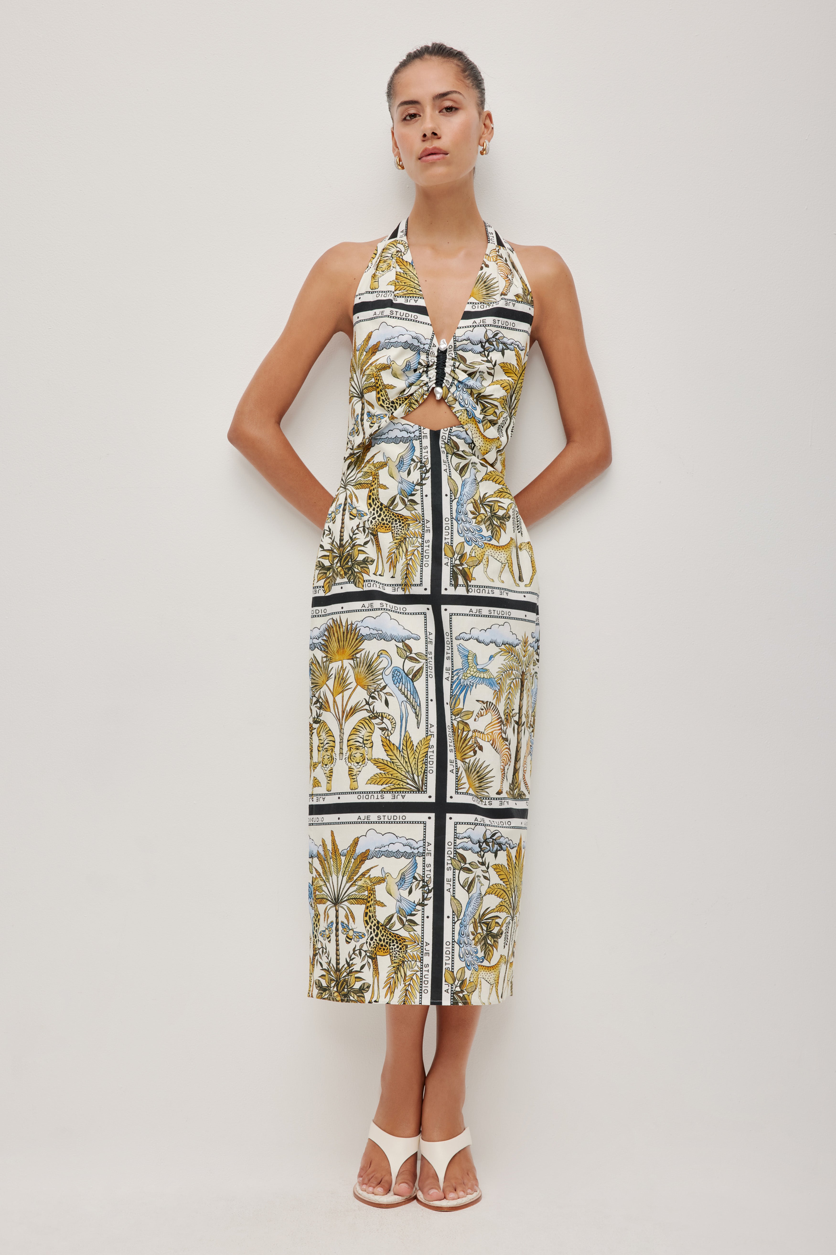 264AS5016_JNGL-PRT_1_1770854329