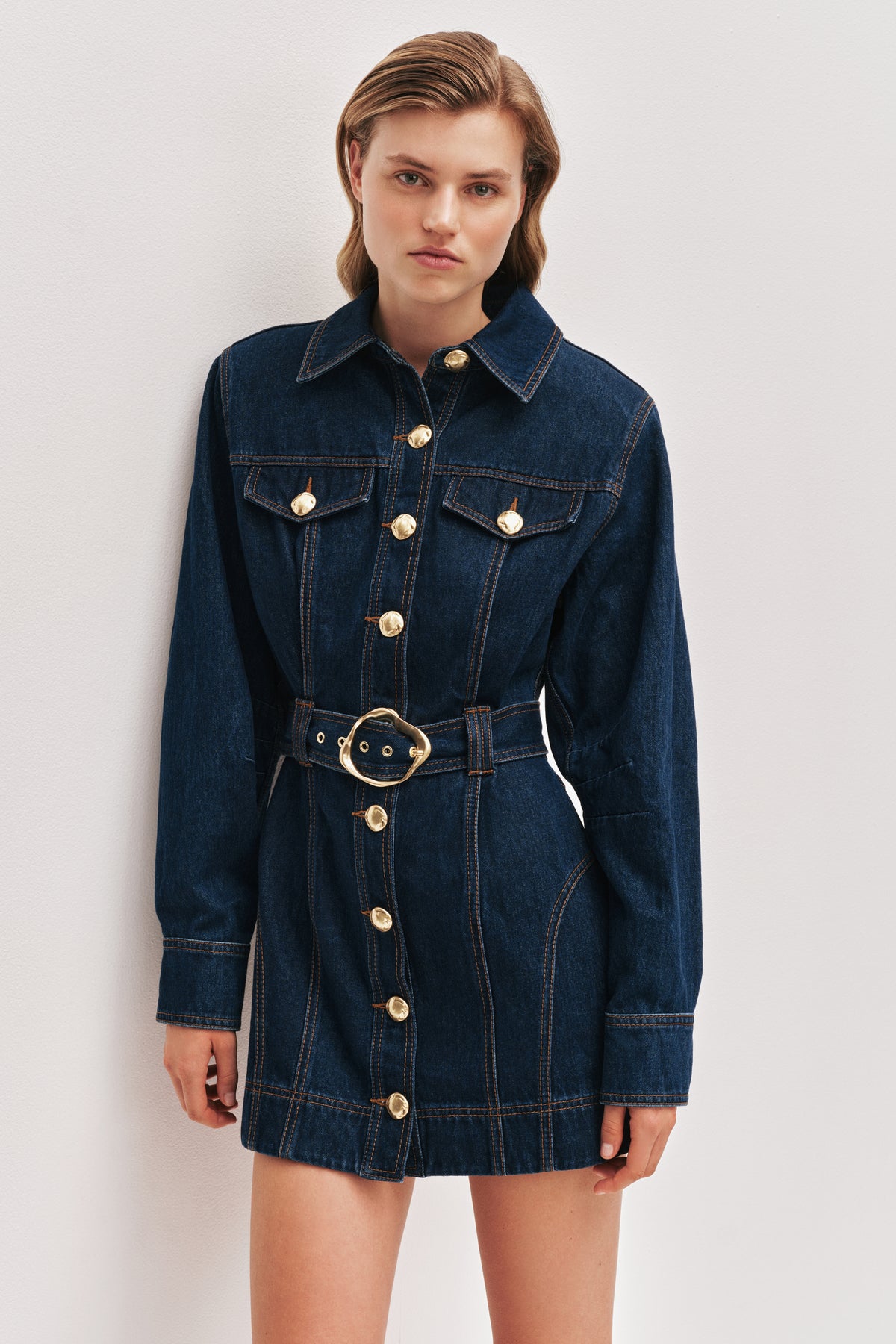 Elodi Denim Mini Dress