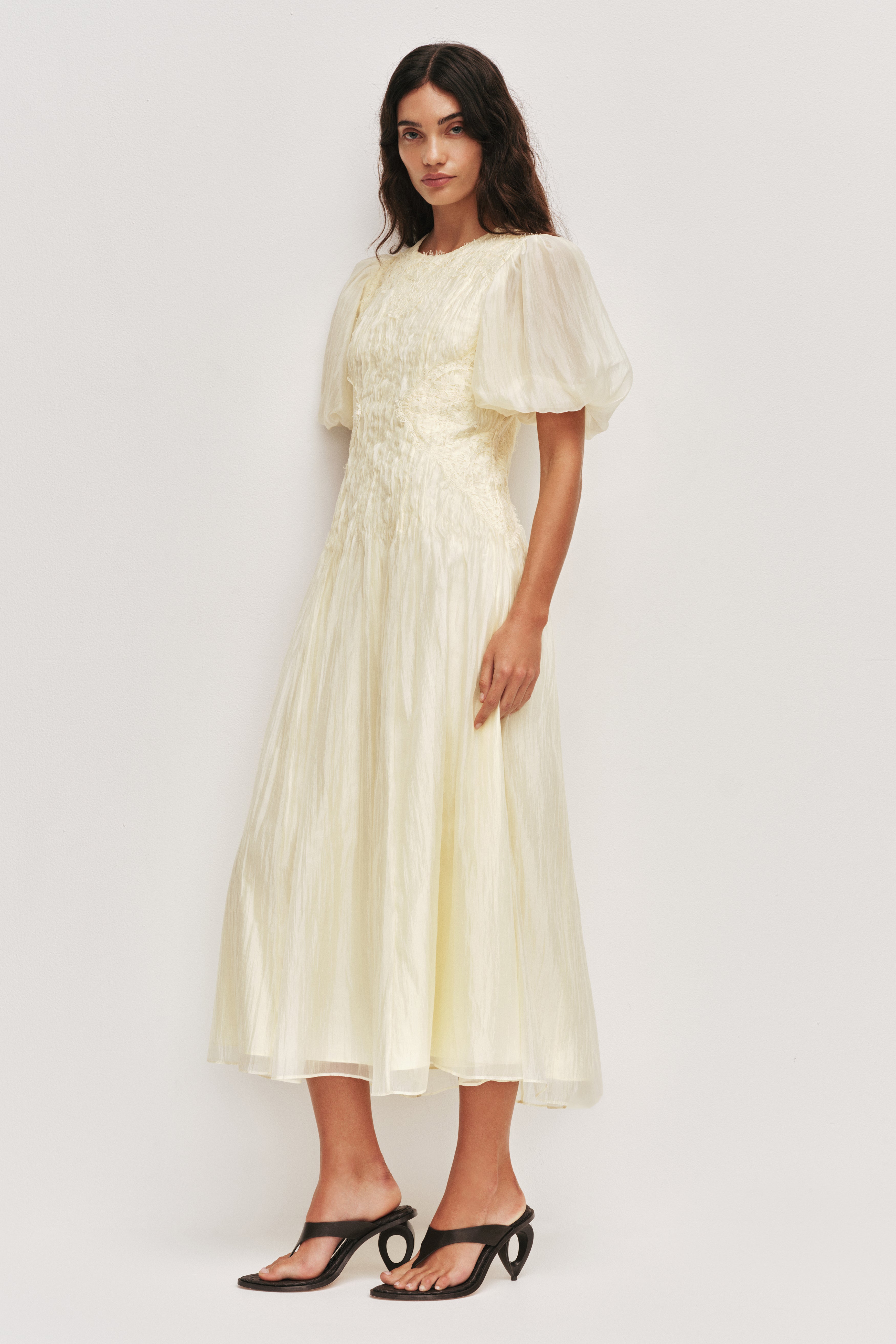 ophelia puff sleeve lace dress Anthropologie Ophelia Puff Sleeve Lace Dress Button Embroider Nude Slip 2 NEW