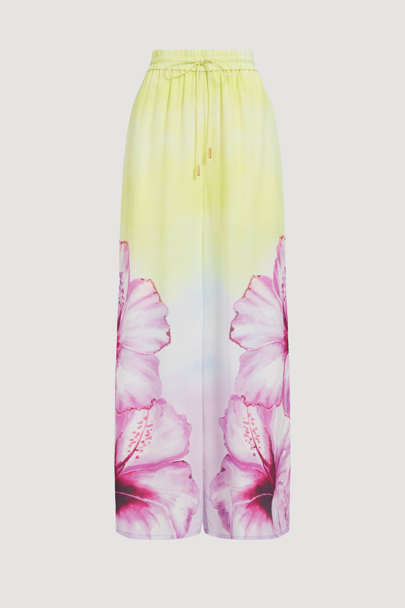 26RE3126_OMB-HIBSC_2_1761282550