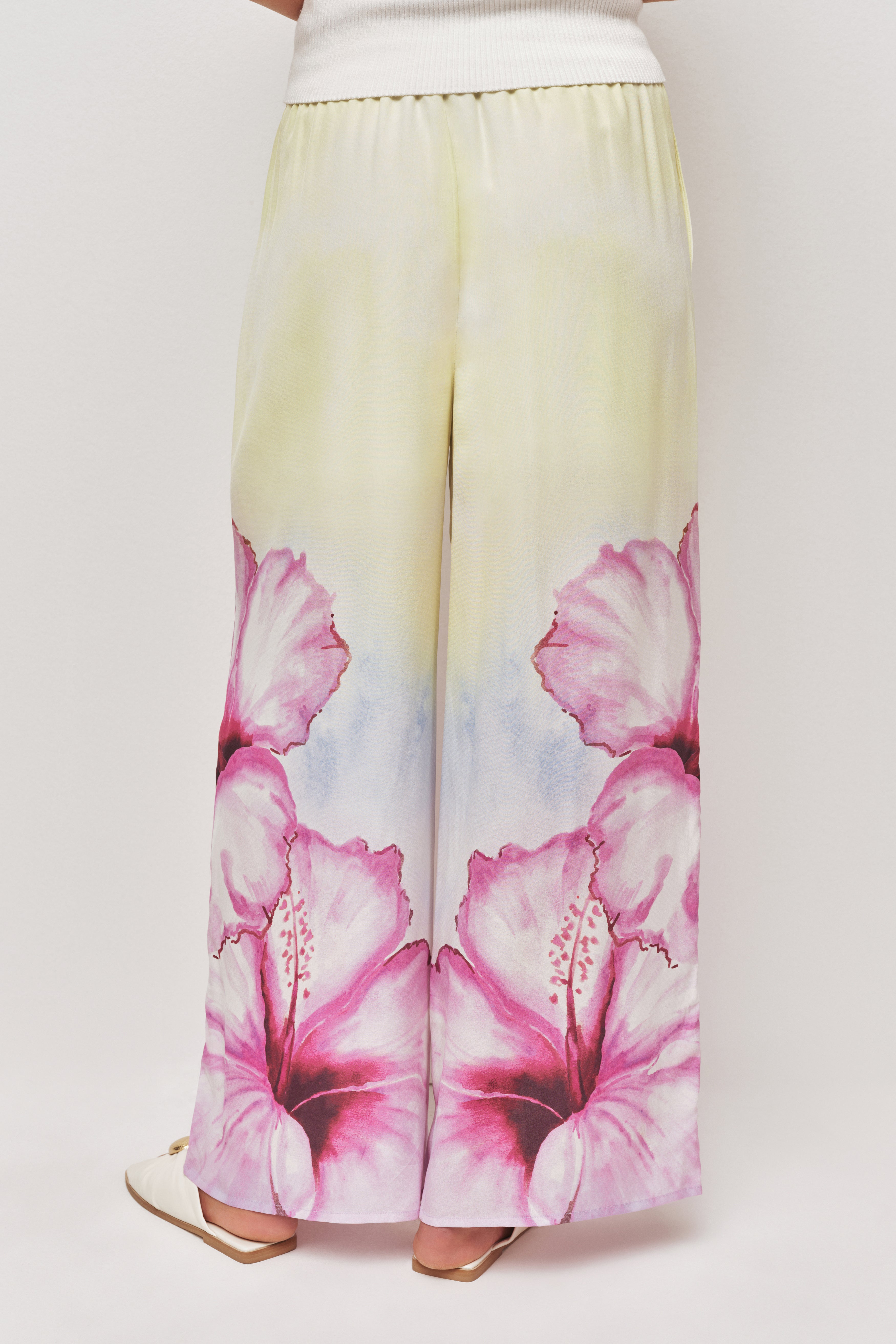 26RE3126_OMB-HIBSC_3_1761515000