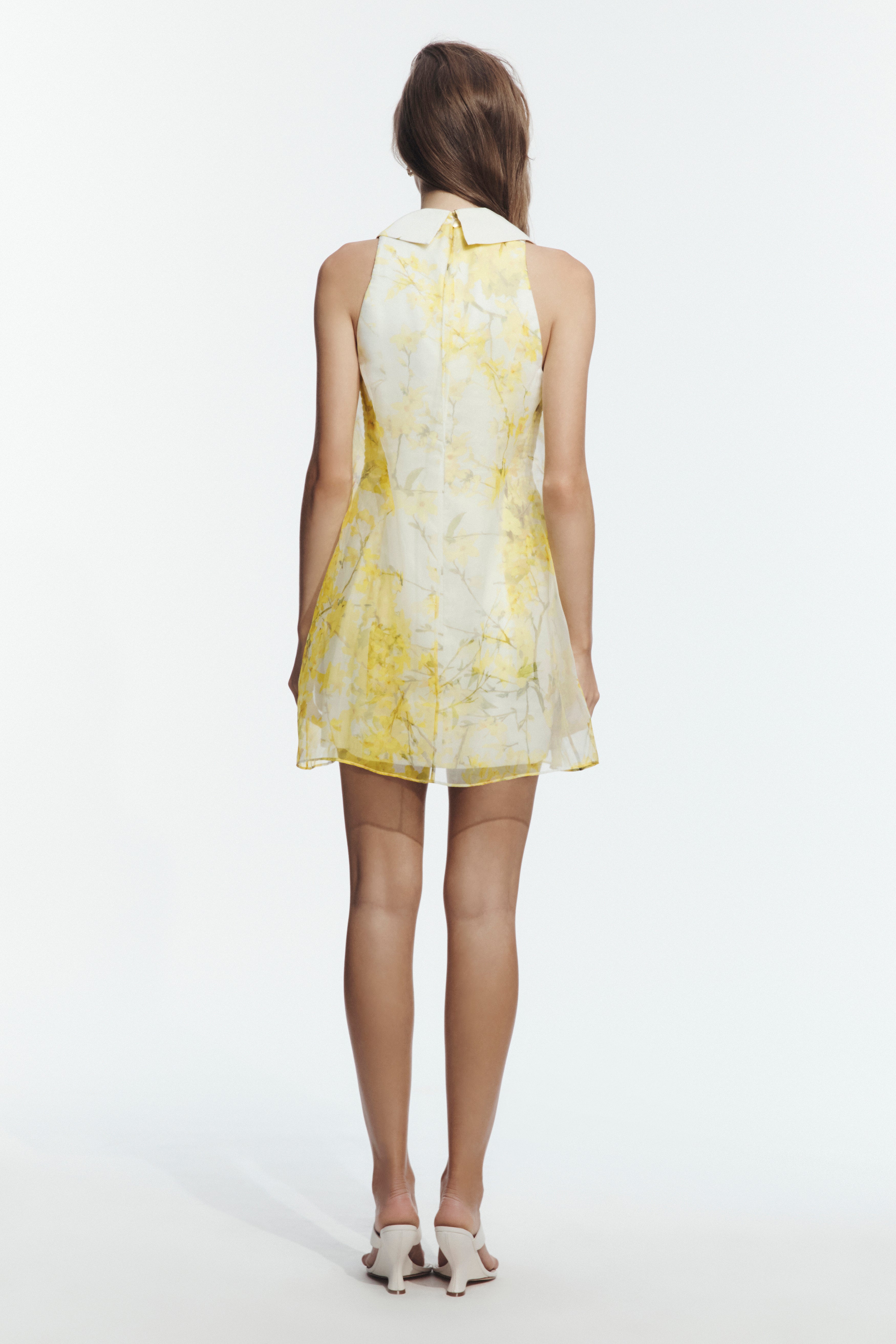 Palomina Mini Dress